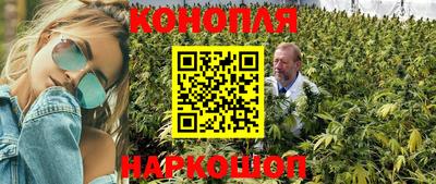 скорость Заводоуковск